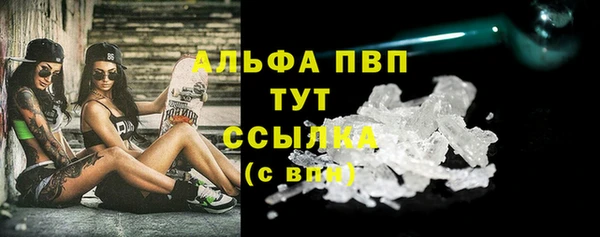 сатива Белокуриха