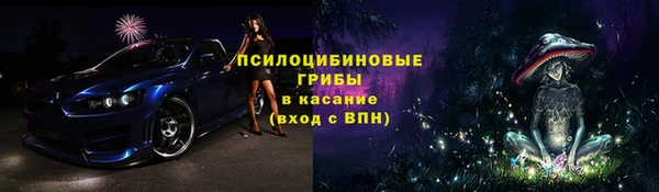 крисы Белоозёрский