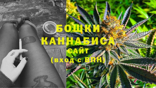 крисы Белоозёрский