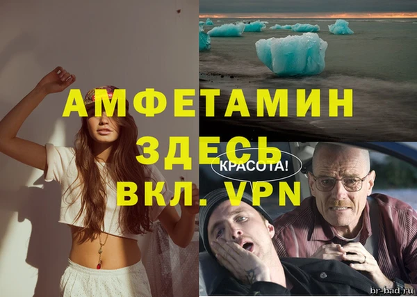 сатива Белокуриха