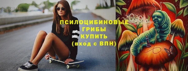 сатива Белокуриха