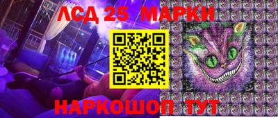 jwh Бийск