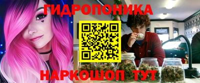 jwh Бийск