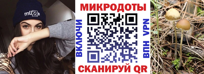 hydra ссылки  Горно-Алтайск  Псилоцибиновые грибы мухоморы 