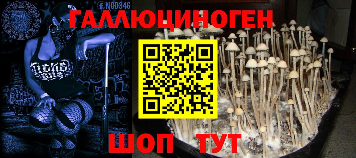 Галлюциногенные грибы Magic Shrooms  Галлюциногенные грибы мицелий  Вход с VPN  Горно-Алтайск 