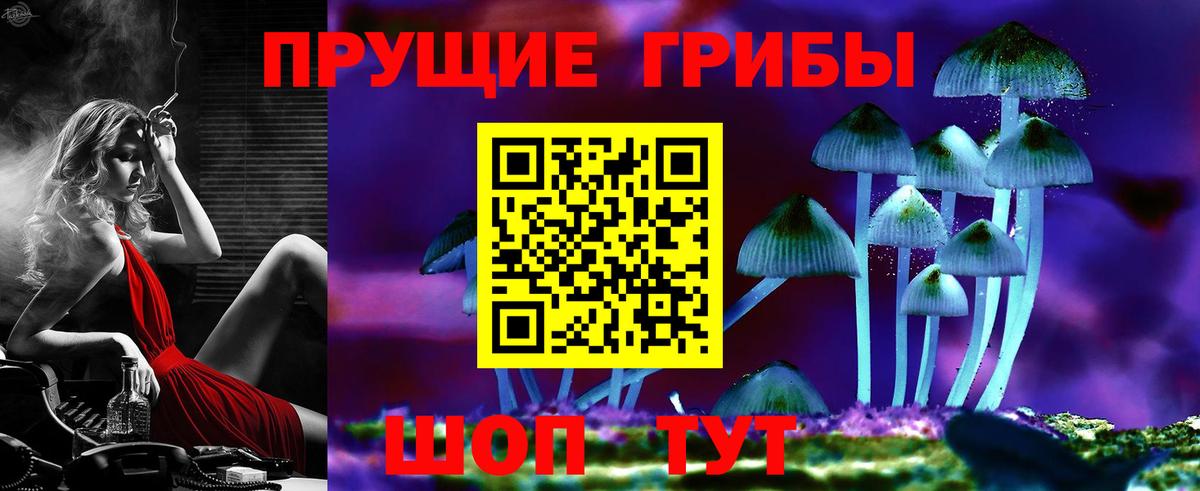 Псилоцибиновые грибы мухоморы  Галлюциногенные грибы Cubensis  Горно-Алтайск 